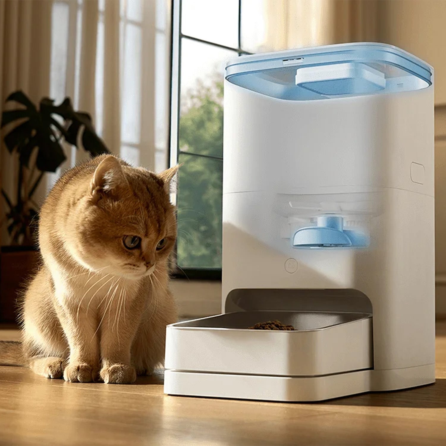 Xiaomi Smart Pet Food Feeder 2 EU - Class B