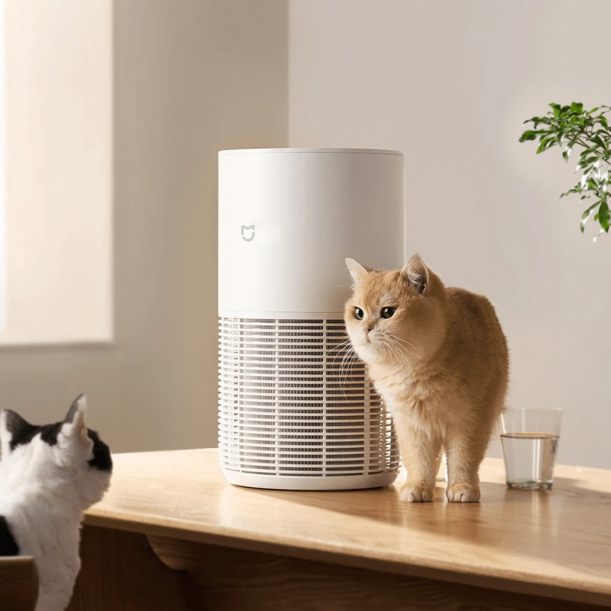 Xiaomi Smart Pet Care Air Purifier EU