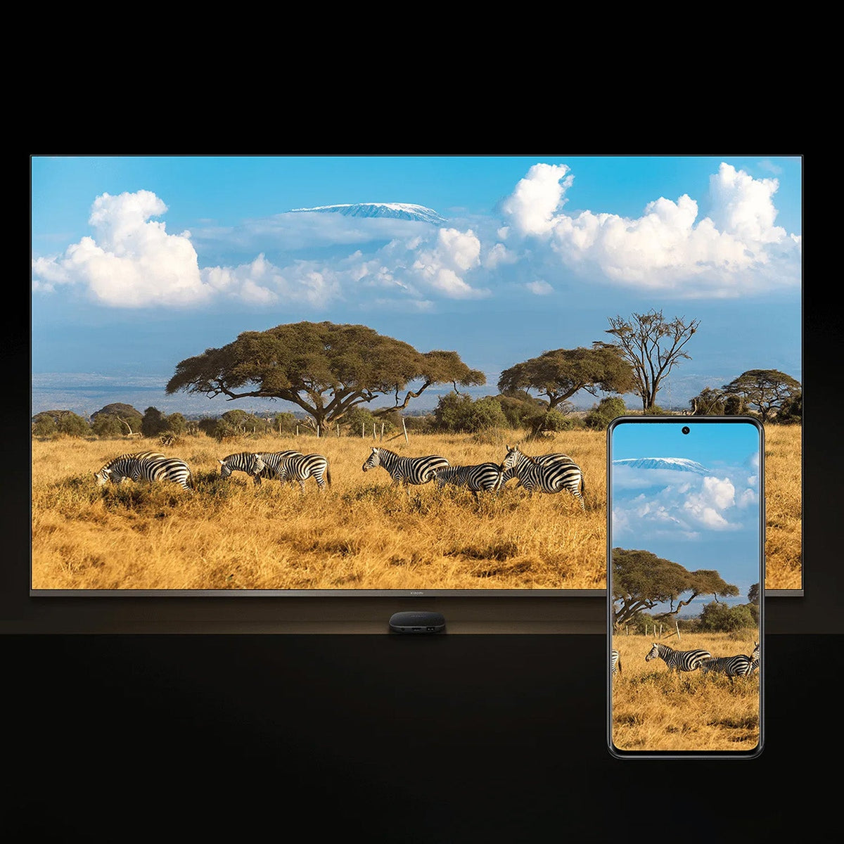 SCJX|63598|63598-xiaomi_tv_box_s_3rd_gen_eu-4.jpg