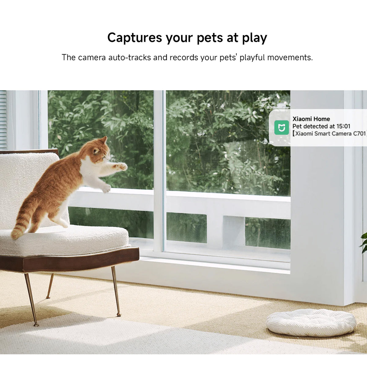 Xiaomi Smart Camera C701 EU