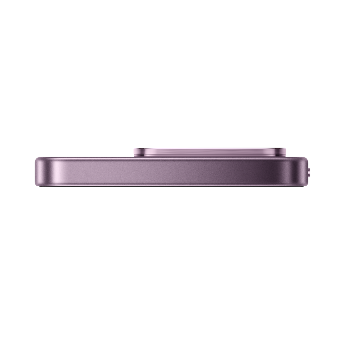 SCJX|D76747|p12a_violet_top_r2.png