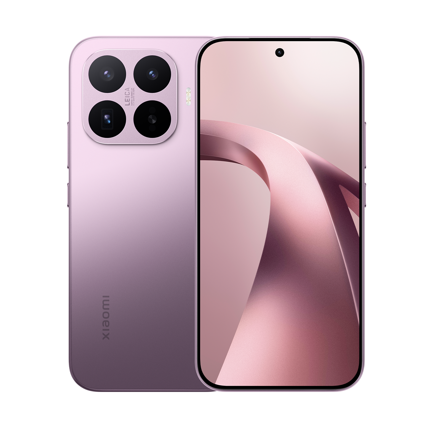 SCJX|D76772|purplep12a.png