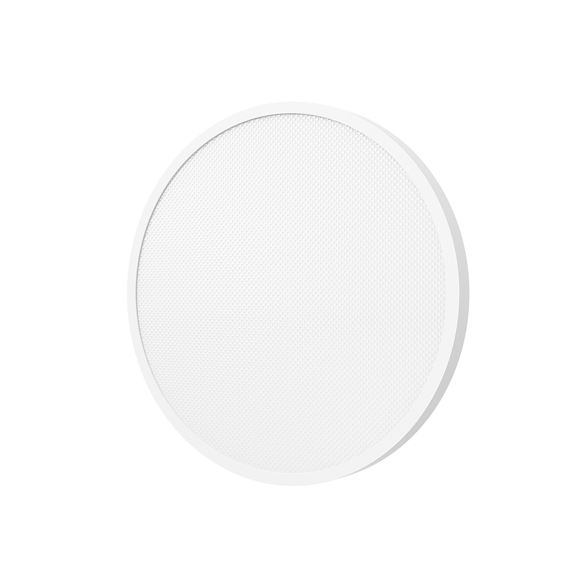 SCJX|62934-B|1_fef62759-5464-4c05-9ea5-80d3f01ab286.png
