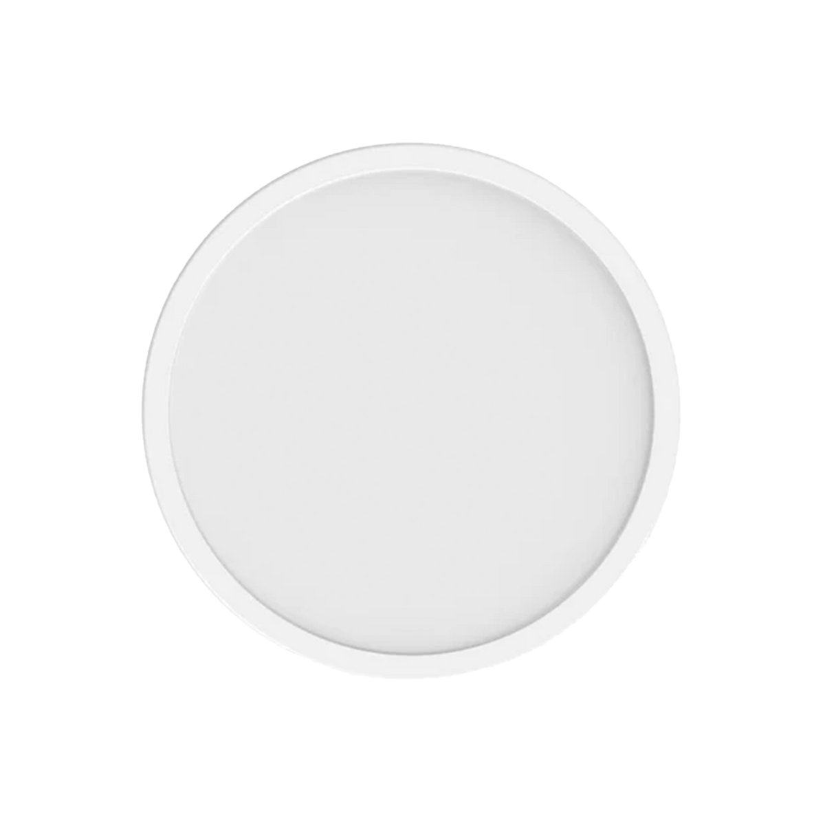 SCJX|63606-A|2_56952407-e5f6-41e9-a715-2dcbdd303eb2.png