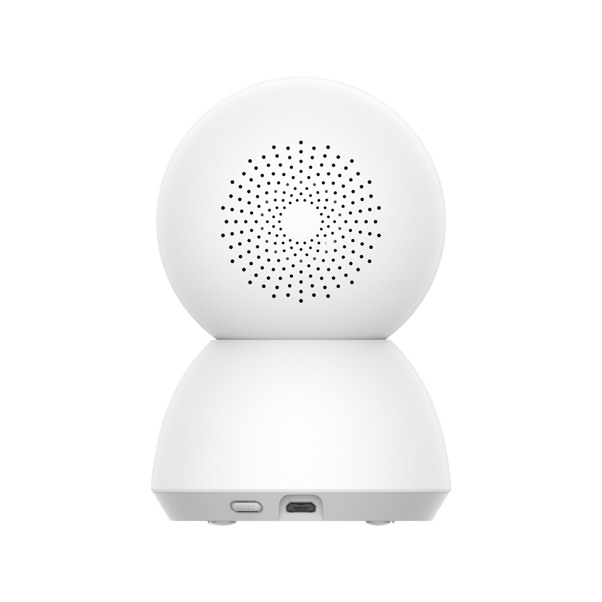 SCJX|42423-C|2_c52a2540-0037-46b2-bdc5-c7e726444f04.png