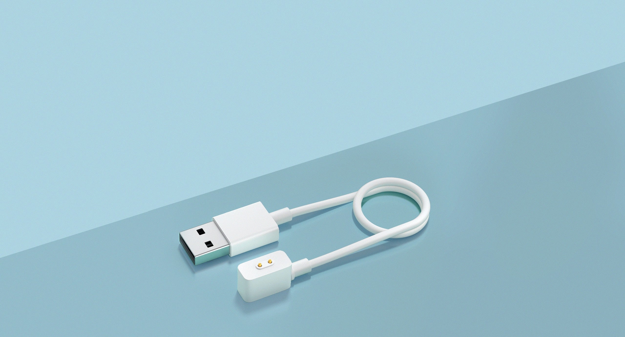 Xiaomi Magnetic Charging Cable for Wearables 2