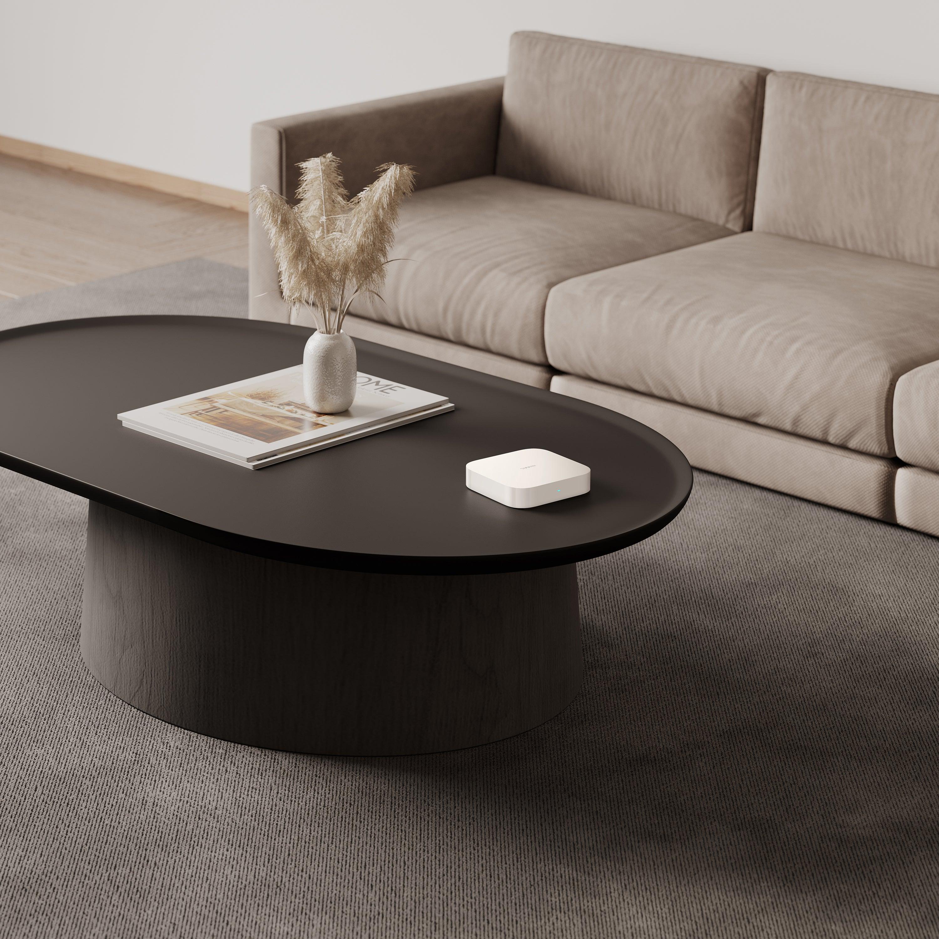 Xiaomi Smart Home Hub 2 - Class C