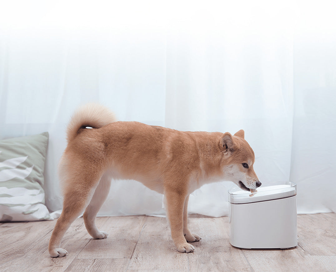 Xiaomi Smart Pet Fountain 2 EU