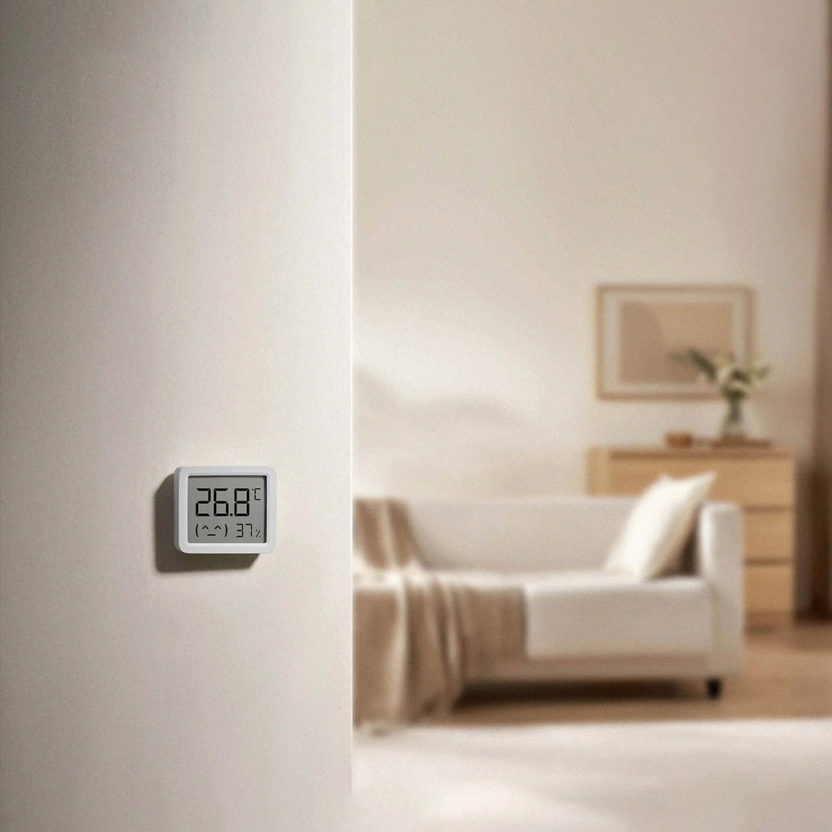 Xiaomi Smart Temperature and Humidity Monitor 3 Mini Class C