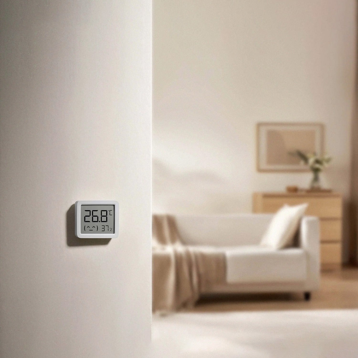 Xiaomi Smart Temperature and Humidity Monitor 3 Mini Class C