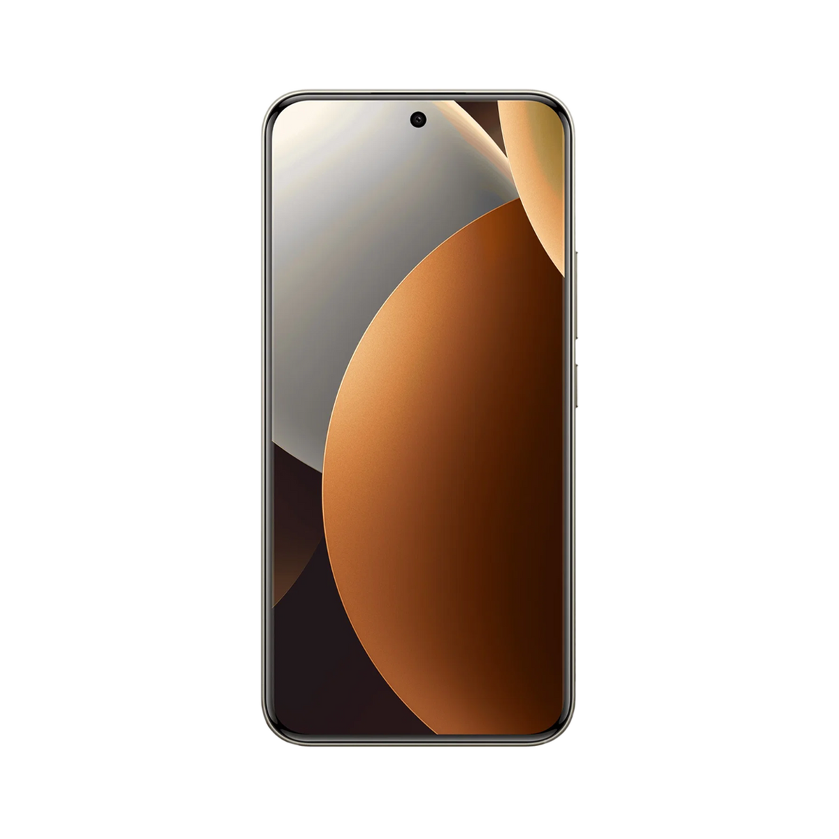 SCJX|72876-S|72876-2_f48b91e6-da6d-4c96-9de4-120bf962f8dd.png