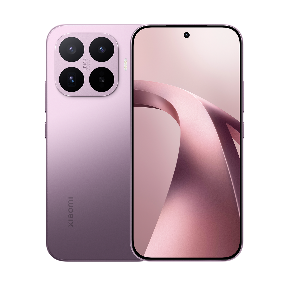 SCJX|D76747|purplep12a.png