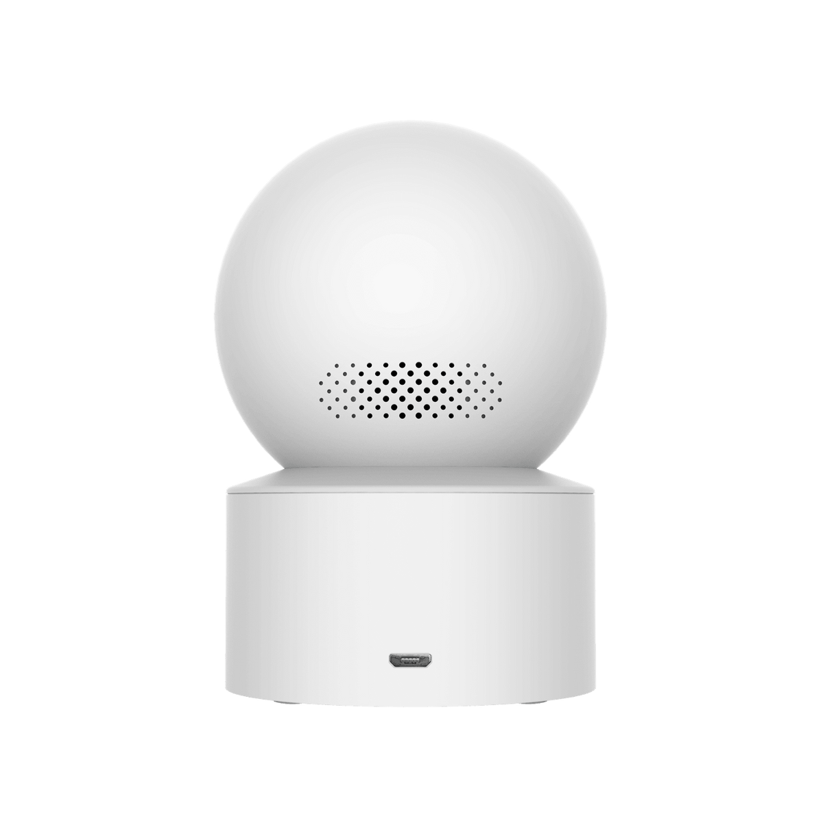SCJX|43789-C|back_a61cf3c6-2f67-4b31-9fa9-e72585c0e963.png