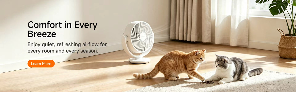 Comfort in Every Breeze